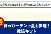 今年の鶴瓶の麦茶の必ず貰えるキャンペーン