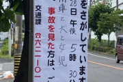 【悲報】四姉妹のママさん、娘と愛犬を轢き逃げされて怒り心頭wwwwwww