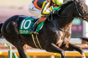第71回 ダイヤモンドステークス（GIII）府中得意！中団追走グロンディオーズ（三浦）ゴール前で差し切って重賞初制覇！