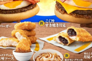 【朗報】 マックのすき焼き月見バーガー、ガチでうまいｗｗｗｗ