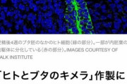 猿が人間になるのは不可能、ダーウィンの進化論は間違い、有名大学教授が宣言