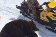 【画像あり】海外のハンター、熊と格闘の末無事勝利
