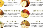 【衝撃】洋梨のラ・フランス、フランスでも絶滅し栽培をしているのは山形県だけだった
