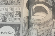 【ワンピース】ついにワンピースの正体発覚