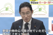 岸田総理　イトーヨーカドーを見て気付く「野菜や肉を見た。確かに物価が上がっている。」