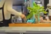 韓国の飲食店で「こぼれたビールを再提供？」…衝撃映像が拡散、衛生管理に批判殺到 ［8/6］