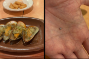 【悲報】サイゼでムール貝を食べたX民、中からとんでもない物が出てきて驚愕するｗｗｗｗ