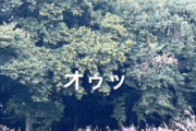 【警告】山の中で『この声』が聞こえたら全力で逃げろ…