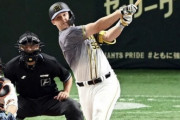 阪神サンズ９回執念の同点二塁打「仕事できて良かったよ」休日返上練習実る