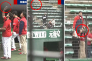 カープ・シャイナーが神対応！カープファンにバッテを投げ入れファンサービス