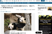 【悲報】中国ガチギレ「今の状態が続けば日本は全国にパンダがいなくなる状況に直面するだろう」