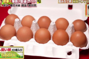 【画像】埼玉県の卵の値段、ガチのマジでやばいｗｗｗｗ
