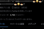 【プリンの妖精！】ツイッターって時々ヤバいやついるよな…