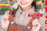 【朗報】元AKB48長谷川新奈さん、人気テーマパークの公式アンバサダーになっていた！