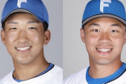 【公示】日本ハム、有薗直輝と王柏融を登録