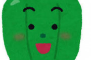 【愕然】ピーマン好きって存在するの？ｗｗｗｗｗｗｗｗｗ