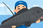 【画像】｢オオカミウオ｣とかいう魚、恐すぎる・・・・・・・・・・