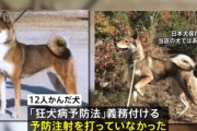 群馬で子供ら１２人を襲った犬、狂犬病予防注射していなかった