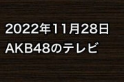 2022年11月28日のAKB48関連のテレビ
