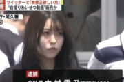 【画像】日本の女性犯罪者で綺麗な女性を集めた結果wｗｗｗｗｗｗｗ