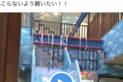 【動画】すべり台で遊んでた幼女、首を吊ってしまう
