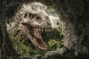 【恐竜】『ジュラシック・パーク』では別の恐竜がモデルに…誤解だらけの恐竜ベロキラプトル、その真相は？