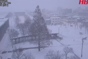 「うんざりです」1日で90センチ超のどか雪…北海道岩見沢市 JR54本運休に
