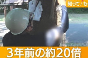 悪質な「虫捕り」各地で横行…樹木に傷、照明機材で大量捕獲　条例で規制する自治体も…  [8/14]
