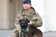 【最強】英国特殊部隊の軍用犬、銃弾を受けながらもアルカイダの狙撃手を無力化し窮地の兵士を救う
