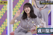 【乃木坂46】『乃木中』での聖来の活躍ってどうだった？