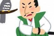 秀吉←天下取った　家康←そこから天下取って幕府作った