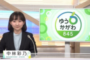 【画像】偽吉岡里帆みたいな女子アナが見つかるｗｗｗｗｗｗｗｗ