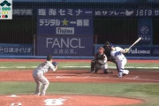 【GIF】DeNAソト、変態ホームランを打ってしまう