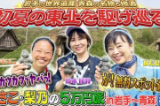 テレ東でやってるかたせ梨乃といとうあさこの5万円貧乏旅番組、どこに需要があるの？