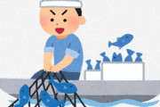 魚「タダですw」　漁師「原価タダだから丸儲けｗｗｗｗ」←こいつらが許されてる理由