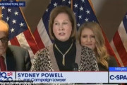 Sydney Powell becomes new FBI director シドニー・パウエルが新しいFBI長官に就任することが確認されました。これは驚くべきことです。トランプ大統領一人の天使が降りてきます。