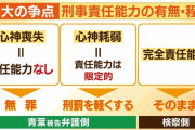 【疑問】「心神喪失してたから責任能力なし、無罪！」←これ意味不明すぎだろ・・・
