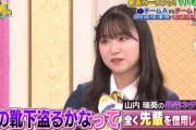 【AKB48】ずっきーと付き合ったらありそうな事【山内瑞葵】