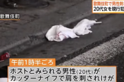 歌舞伎町の路上でホストとみられる男性がカッターナイフで刺される。20代女を現行犯逮捕