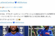 ハンソン、ドミニカウィンターリーグ参戦