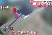 【衝撃動画】東京・小金井市で23歳男が性犯罪目的で、3歳女児を連れ去ろうとした一部始終が防犯カメラに　→　母親の必死の抵抗で阻止