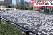 【悲報】来年のカレンダー５３万枚積んだトラックが荷崩れ数万枚が道路に散らばってしまう