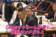 【悲報】岸田総理、国会で増税メガネと煽られる