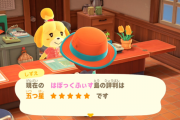 あつまれどうぶつの森 遂に島の評判が五つ星になりきんのジョウロのレシピを手に入れた バラはなくゴミの山だけが残った
