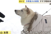 可愛すぎるインタビューで話題になったあの犬、北海道ニュースが直接取材へ