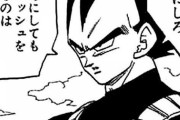 【ドラゴンボール】セル編の戦犯が何故かベジータという風潮ｗｗｗｗｗ