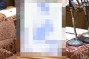日本の国会、ガチでとんでもないものが出てきて議員が目のやり場に困ってしまう・・・