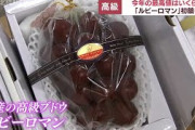 【ぶどう】日本「シャインマスカットより甘いルビーロマンを開発したぞ」韓国「ホントだ甘～い！ありがとう！」→結果ｗ