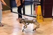 安心して欲しい、リードはついてる！ロボット犬がショッピングモールを散歩していた件