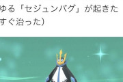 【悲報】ポケモンダイパ、ポケモンが韓国語になる『セジュンバグ』が面白すぎるｗｗｗｗｗ